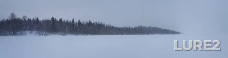 Perch — Kholmovskoye, Jan 25, 2020