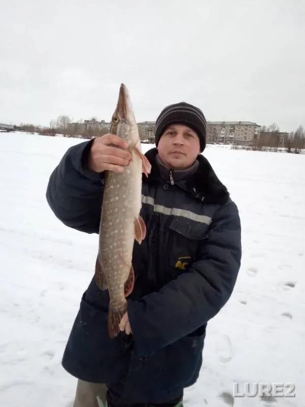 Pike — Severnaya Dvina, Feb 13, 2020