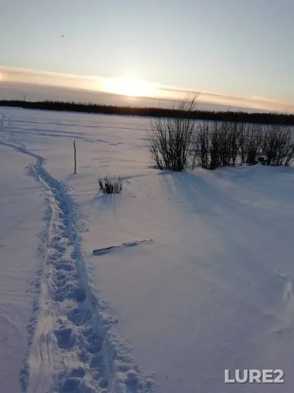 Perch, Roach — Severnaya Dvina, Mar 02, 2020