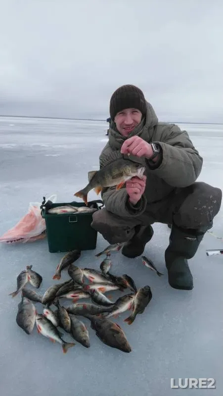 Perch — Ukhta, Mar 16, 2020