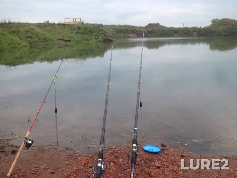 Bream, Carp — Chelyabinskaya oblast, Jun 24, 2016
