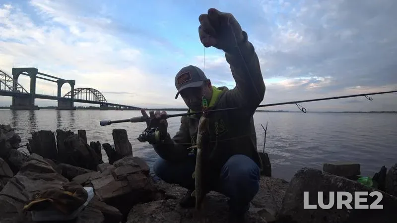 Pike — Severnaya Dvina, Aug 14, 2018