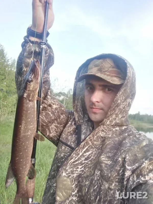 Pike — Arkhangelskaya oblast, Kholmogorskiy munitsipalnyy okrug, Jun 10, 2019