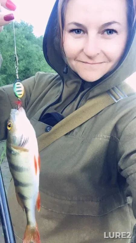 Chub, Perch — Vaga, Jun 27, 2019