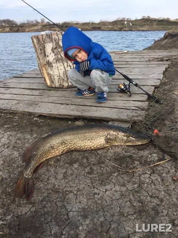 Pike — Chelyabinskaya oblast, Apr 29, 2017