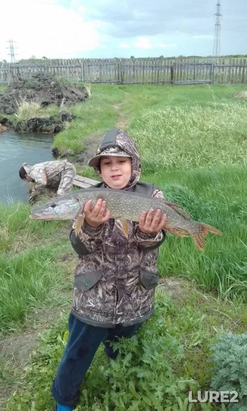 Pike — Chelyabinskaya oblast, May 28, 2017