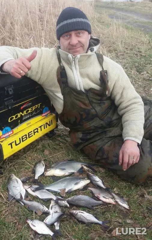 Bream — Brestskaya oblast, Feb 03, 2020