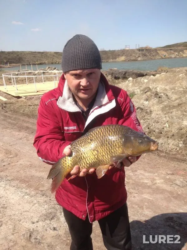 Carp — Chelyabinskaya oblast, May 12, 2018