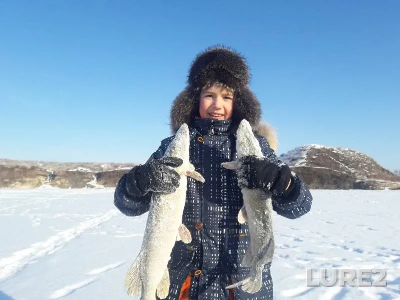 Pike — Chelyabinskaya oblast, Feb 17, 2018