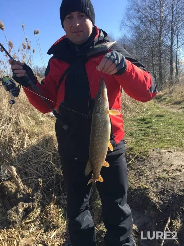 Pike — Brestskaya oblast, Mar 25, 2020