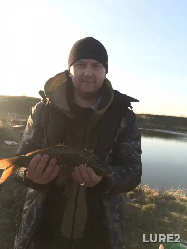 Carp — Chetvyortoye, May 01, 2019