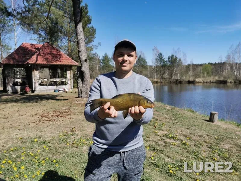 Tench — Shcharka, May 01, 2020