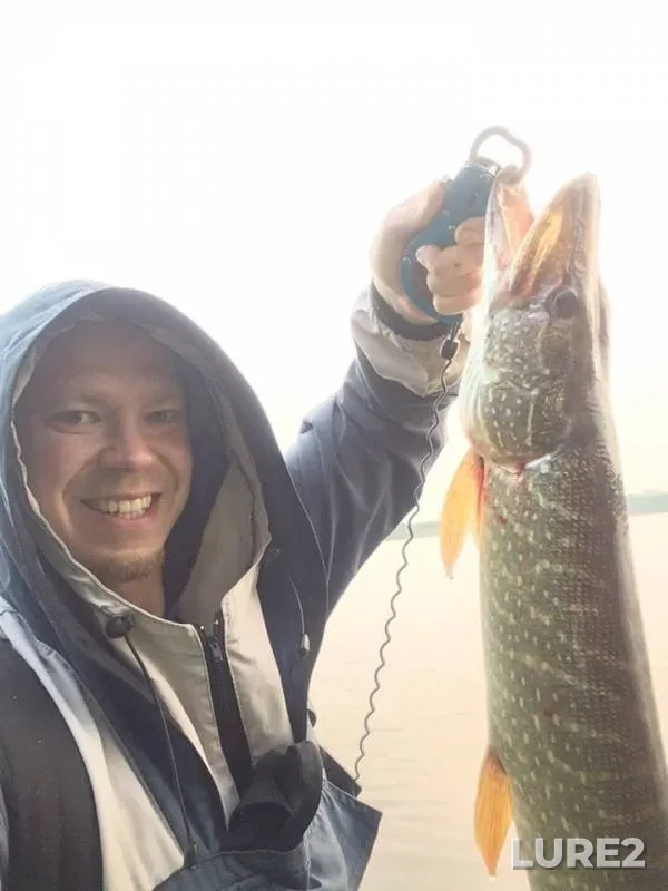 Perch, Pike — Goluboye, Jul 23, 2019
