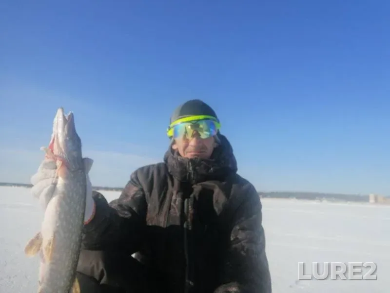 Pike — Arakhley, Jan 29, 2020
