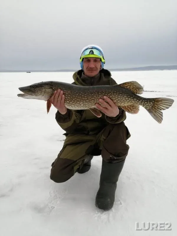 Pike — Khilok, Feb 09, 2020
