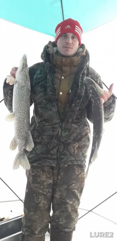 Pike — Ivan, Feb 08, 2020