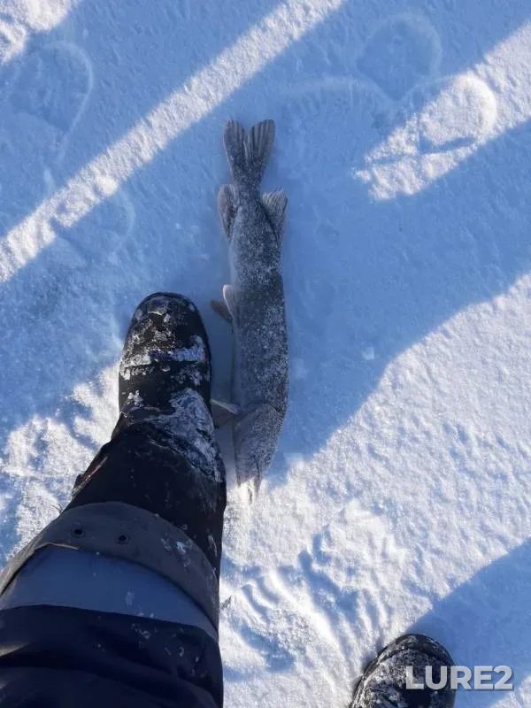 Pike — Ivan, Jan 06, 2020