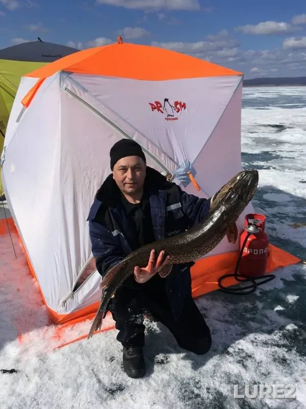 Pike — Shakshinskoye, Mar 22, 2020