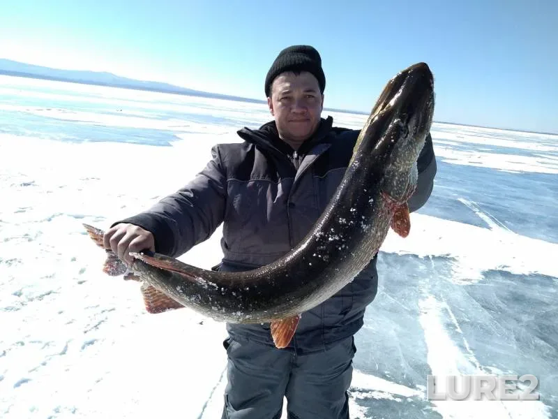 Pike — Arakhley, Mar 23, 2020