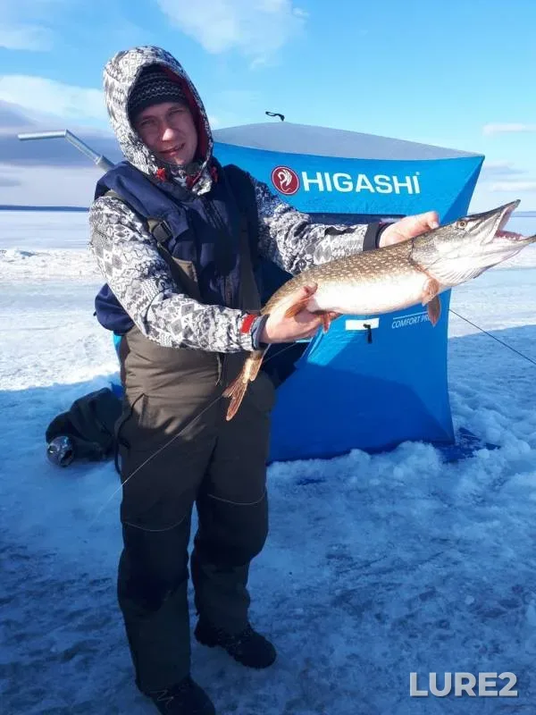 Pike, Roach — Shakshinskoye, Apr 05, 2020