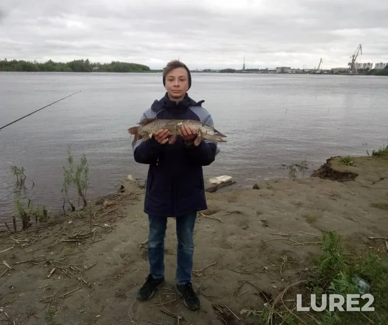 Pike — Khanty-Mansiyskiy avtonomnyy okrug — Yugra, Jun 26, 2019