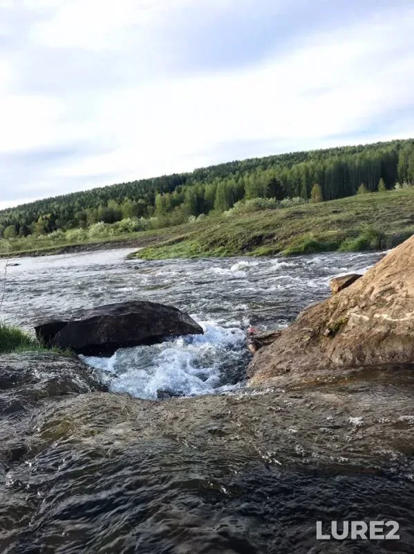 Perch, Pike — Invalidka, Jun 13, 2019