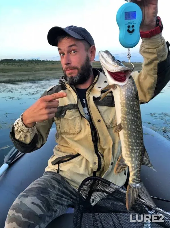 Perch, Pike — Shalo, Jun 13, 2019