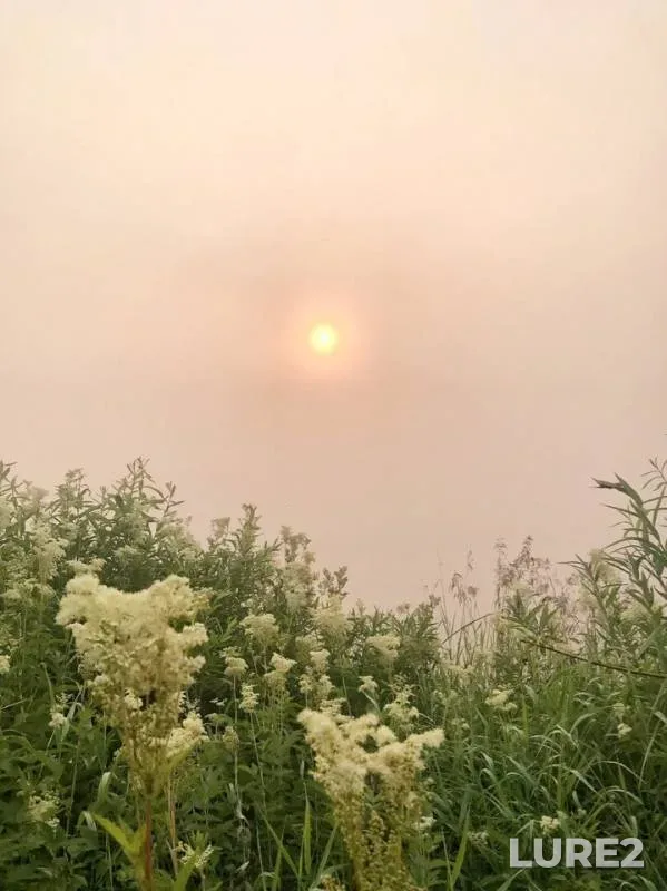 Pike — Yenisey, Jul 16, 2019