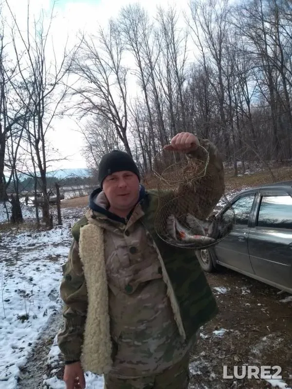 Perch — Staryy Mokrets, Nov 07, 2019
