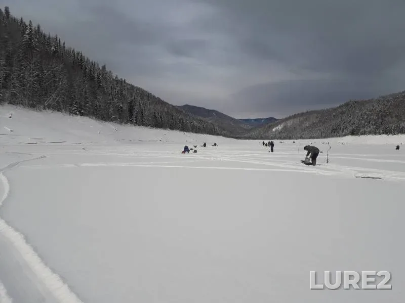 Perch — Sayano-Shushenskoye, Jan 03, 2020