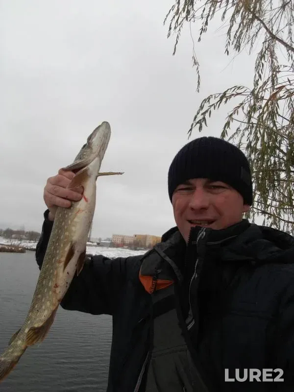 Pike — Samarskaya oblast, Nov 01, 2019