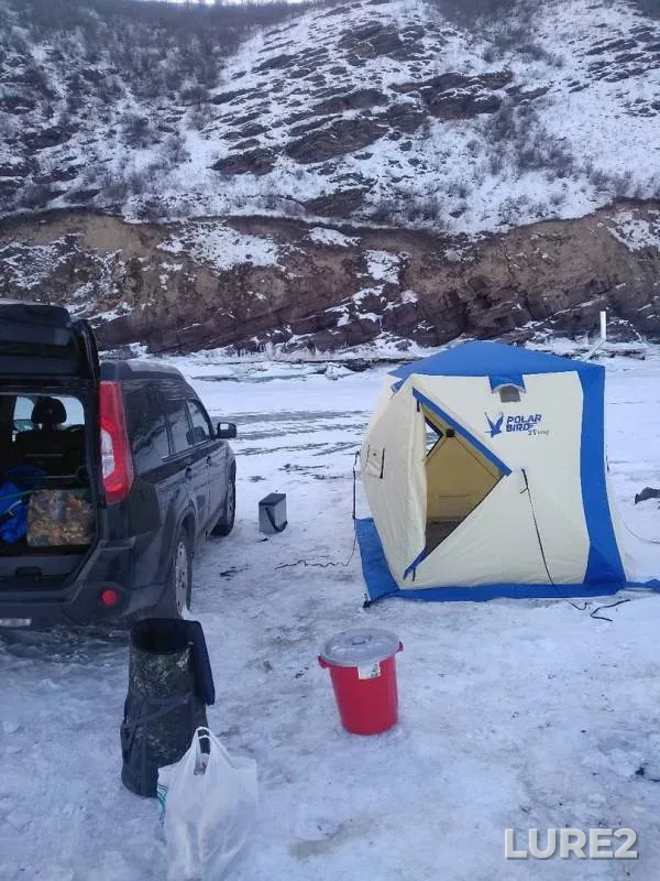 Bream, Perch — Krasnoyarskoye, Jan 30, 2020