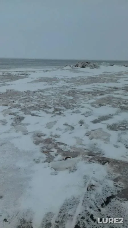 Perch, Roach — Krasnoyarskoye, Feb 29, 2020