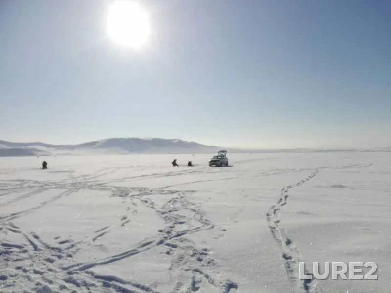 Perch — Krasnoyarskoye, Mar 01, 2020