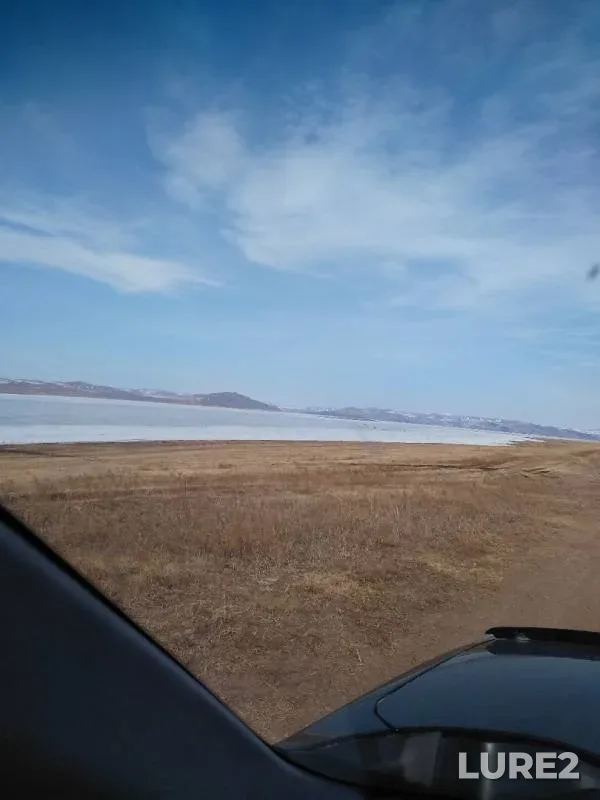 Bream, Roach — Yerba, Apr 01, 2020