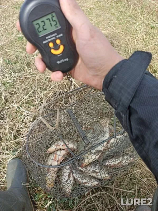 Crucian carp — Krasnoye, Apr 25, 2020