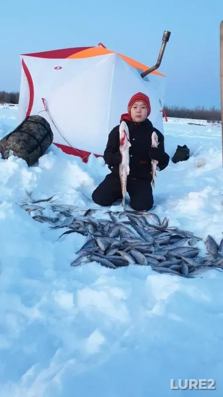 Pike, Roach — Lena, Apr 01, 2020