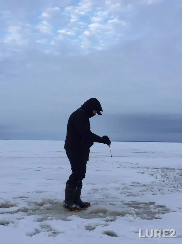 Perch — Kamskoye, Dec 27, 2019