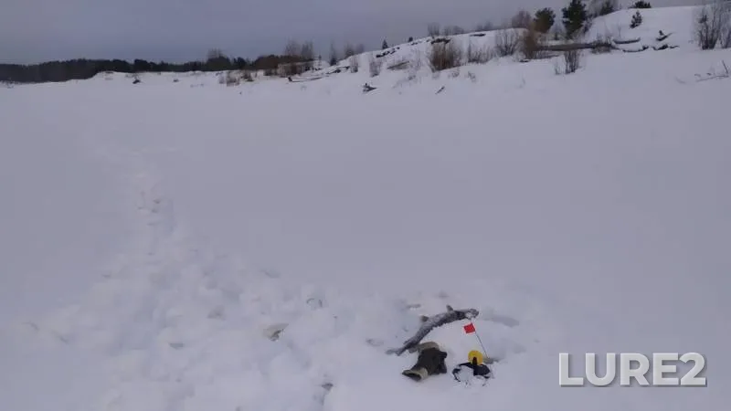 Perch, Pike — Irtysh, Jan 12, 2020