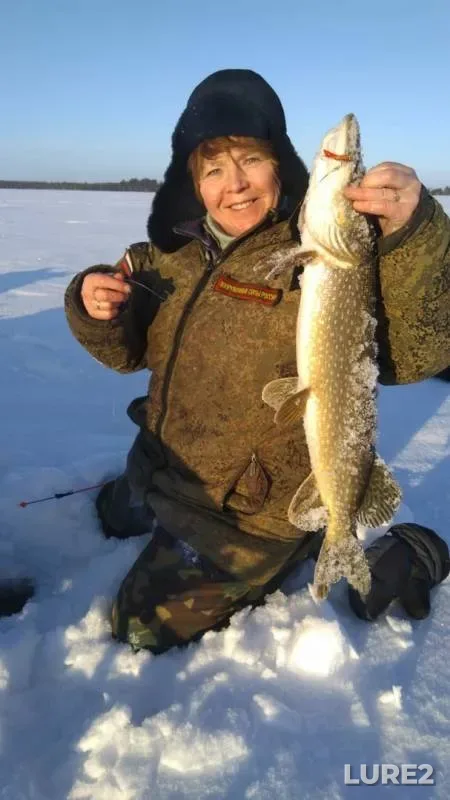 Pike — Yelemkhomtur, Jan 13, 2020