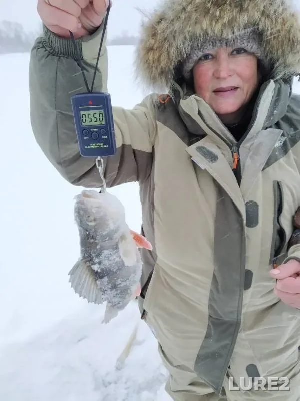 Perch — Ob, Feb 03, 2020