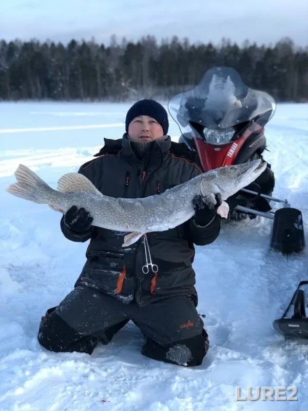 Pike — Potkhil-Yugan, Feb 11, 2020