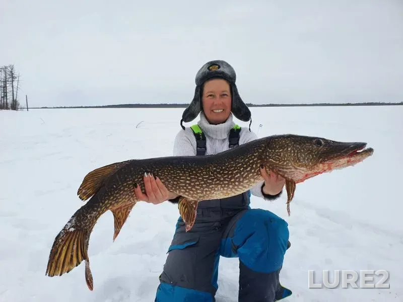Pike — Lakhsentur, Feb 25, 2020