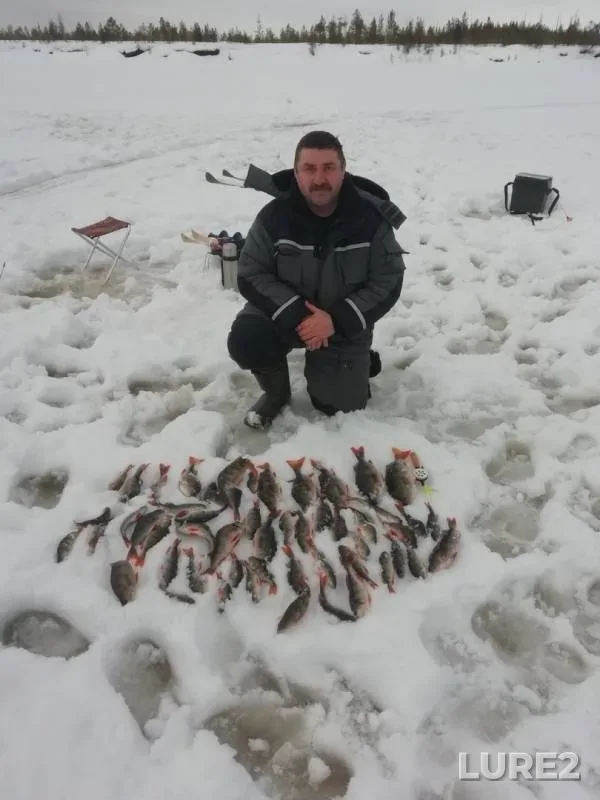 Perch — Vatinskiy Yogan, Mar 14, 2020
