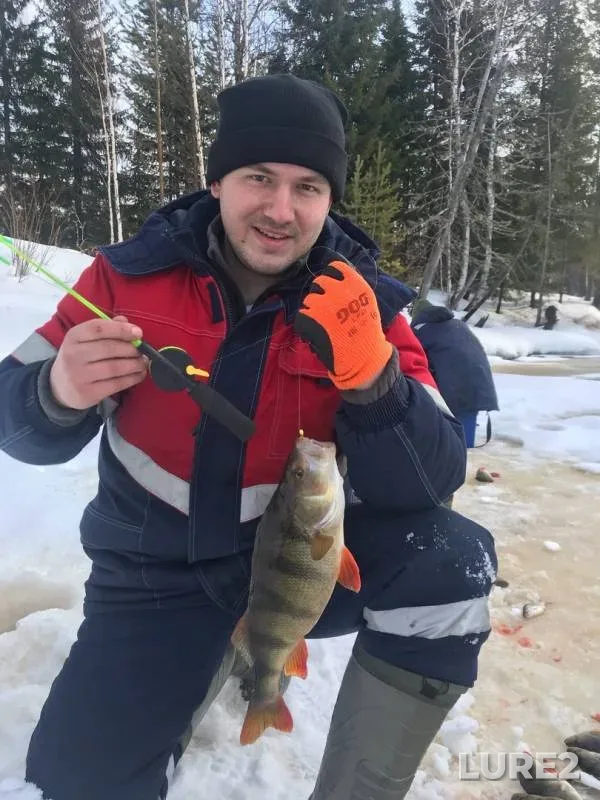 Perch — Vynt-Ya, Mar 16, 2020