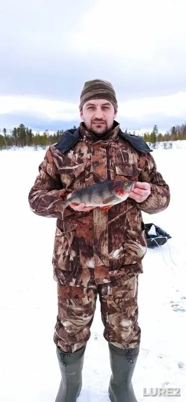Perch — Khanty-Mansiyskiy avtonomnyy okrug — Yugra, Beloyarskiy rayon, Mar 19, 2020