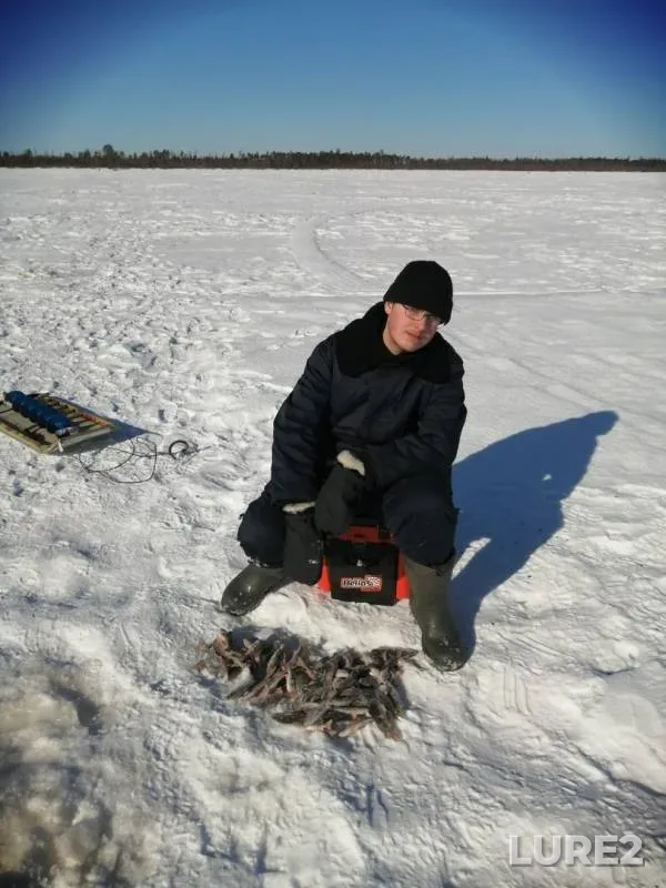 Perch — ozera Lorislor, Mar 21, 2020
