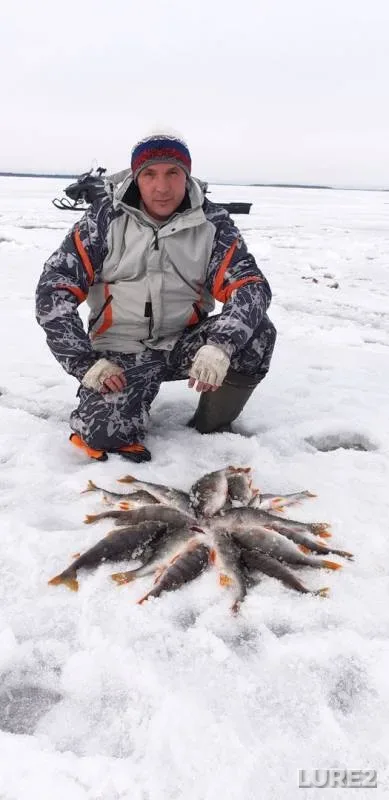 Perch — Khanty-Mansiyskiy avtonomnyy okrug — Yugra, Apr 18, 2020
