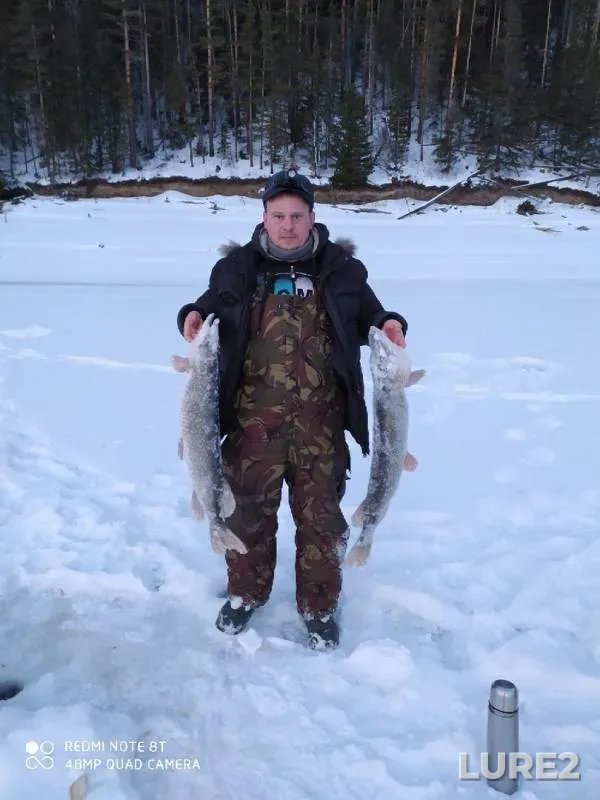 Pike — Krasnoyarskiy kray, Jan 30, 2020