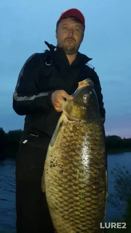 Carp, Pike — Selin, Jan 30, 2020